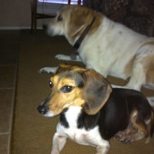 Meet your Posher, Ethan